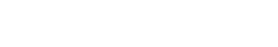 StandingPartnership_logo_bottom-white@3x